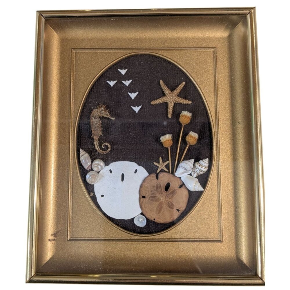 Sand Dollar Nautical Shell Art Betty Shepard Shadow Box Frame Seahorse & Starfis